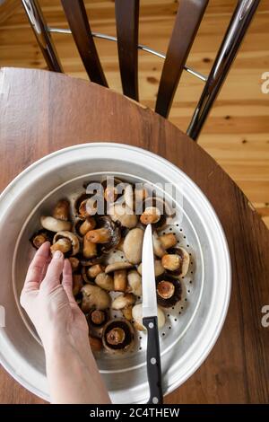 Die Hand der Frau hält ein Messer in der Hand und vor ihr liegen Pilze Stockfoto