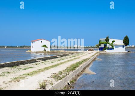 Landschaft von Reisfeldern in der Nähe der Lagune von Valencia, Spanien. Frisch gepflanzte Reisfelder. Stockfoto