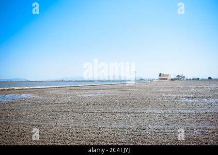 Landschaft von Reisfeldern in der Nähe der Lagune von Valencia, Spanien. Frisch gepflanzte Reisfelder. Stockfoto