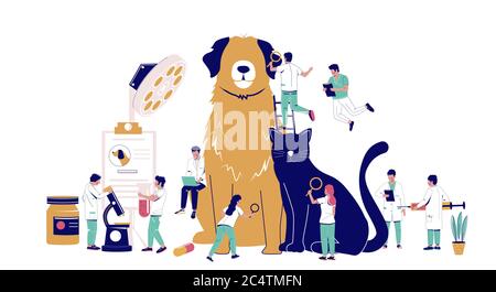 Tierarzt Haustier Check-up, Tierbehandlung, Vektor-flache Abbildung Stock Vektor