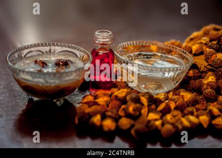 Nahaufnahme von DIY Shampoo zu Hause in einer Glasschale bestehend aus einigen Soapnut ell gemischt mit ätherischem Öl, Wasser und etwas Wasser gemacht. Stockfoto