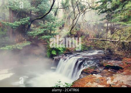 Thermalwasserfall auf Kerosin Creek, Rotorua, Neuseeland. Ungewöhnliche Naturlandschaften Stockfoto