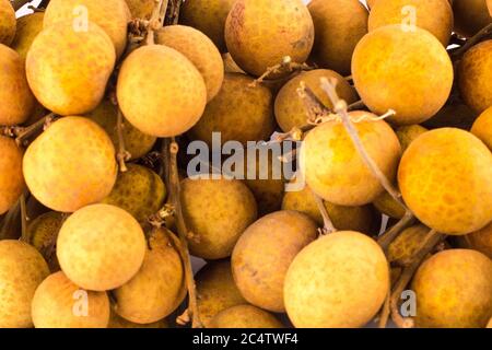Nahaufnahme Frische Longan oder Dimocarpus longan, Thailand tropische Früchte auf weißem Hintergrund Obst Landwirtschaft Essen isoliert Stockfoto