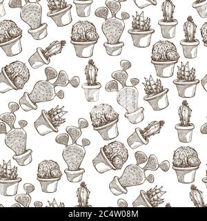 Kaktuspflanze wächst in Töpfen, Blume nahtloses Muster Stock Vektor