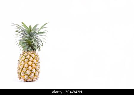 Reife Ananas (Ananas comosus) auf weißem Hintergrund gesunde Ananas Obst Nahrung isoliert Stockfoto