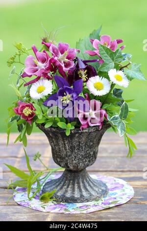 Romantischer Blumenstrauß mit Säulenblumen und bellis perennis in Vintage Vase Stockfoto