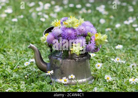 Wiesenblumen in lila und gelb in Vintage-Teekanne Stockfoto