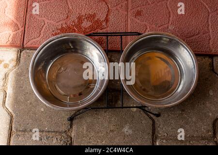 Stahlplatten mit Wasser für einen Hund Stockfoto