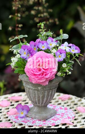 Bouquet von Rosen und Viola Blumen in rosa in Vintage Vase Stockfoto