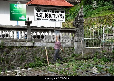 Trynian, Bali, Indonesien - 11. Januar 2014: Balinesin Mit Großem Eimer Auf Dem Kopf Stockfoto