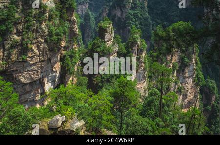 Panoramablick auf vertikale Karstsäulen Felsformationen aus der Sicht der Enchanted Terrasse, Avatar Berge Naturpark, Zhangjiajie, China Stockfoto