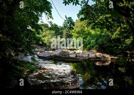 Treffen der Gewässer, Fluss Tees und Fluss Greta, Grafschaft Durham Stockfoto