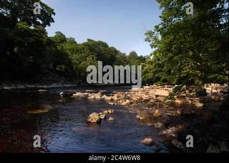 Treffen der Gewässer, Fluss Tees und Fluss Greta, Grafschaft Durham Stockfoto