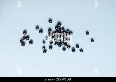 Süße Bio schwarze Johannisbeere Beeren isoliert auf blauem Hintergrund. Draufsicht. Flach liegend Stockfoto