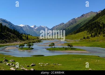 Tal, das zur Tian Shan-Bergkette führt. Ostkirgisistan Stockfoto