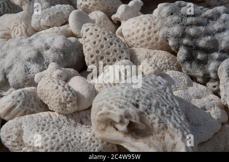 Kieselsteine am Strand mit ungewöhnlichen Markierungen kochen Inseln Südpazifik. Stockfoto