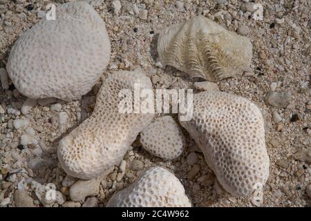 Kieselsteine am Strand mit ungewöhnlichen Markierungen kochen Inseln Südpazifik. Stockfoto