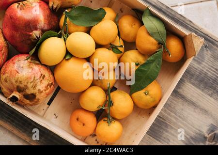 Eine Holzkiste mit Mandarinen, Zitronen und Granatäpfeln. Früchte im Herbstgarten gesammelt. Stockfoto