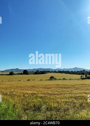 Wunderschöne Landschaft umgeben von Bäumen und hohen Bergen, die unter dem Hotel glitzern Der blaue Himmel Stockfoto