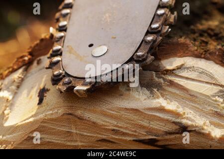 Nahaufnahme der Sägekette und der Führungsschiene einer gebrauchten Kettensäge. Stockfoto