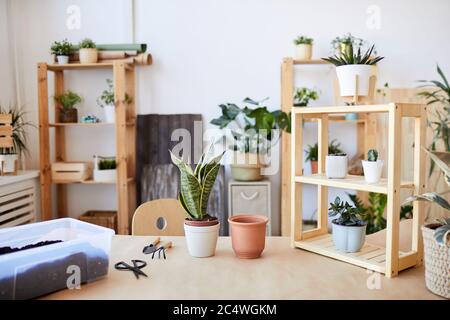 Hintergrundbild von Holztisch mit Topfpflanzen und Boden bereit für das Topfen, Home Gartenarbeit Konzept, Kopierer Raum Stockfoto