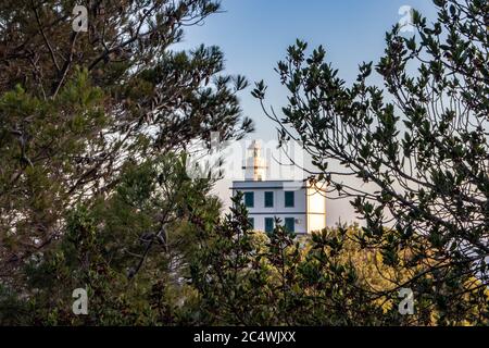 Unter den Bäumen im Hintergrund befindet sich der Leuchtturm auf dem Hügel. Stockfoto