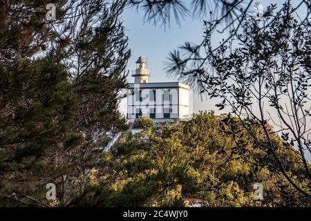 Unter den Bäumen im Hintergrund befindet sich der Leuchtturm auf dem Hügel. Stockfoto