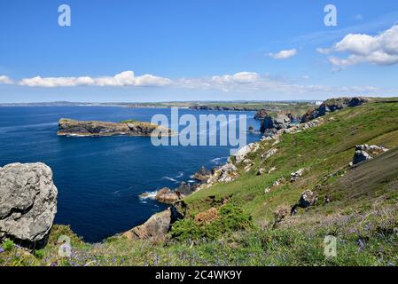 Mullion Island vom South West Coast Path. Mullion, Lizard Peninsula, Cornwall, England, Großbritannien. Stockfoto