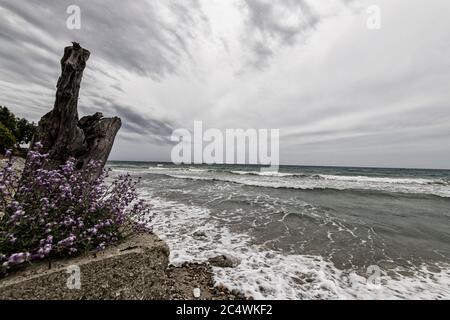 Sprudelnde See an einem stürmischen Sommertag, ein gesehen von einem Strand in Chalkidiki Griechenland Stockfoto