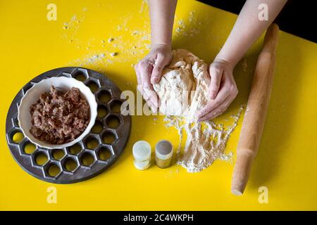 Die weiblichen Hände der Köchin halten den Teig zum Kochen von Knödeln mit Fleisch in den Händen, Draufsicht auf dem Tisch mit den Zutaten für Ravioli. Stockfoto