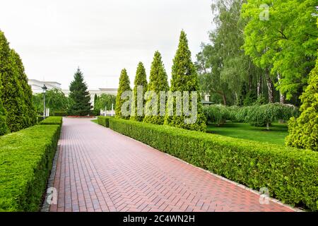 Der Fussgängerpflaster der Fliesen mit den getrimmten Laubbüschen und immergrünen Thuja in Form der Pyramide, des Parks mit den grünen Pflanzen und den Bäumen, niemand. Stockfoto