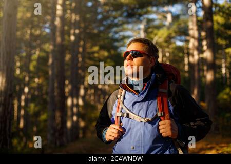 Wanderer Mann geht in einem Kieferngelben Herbstwald. Backpacker genießt Herbstlandschaft. Tourist trägt Sport Sonnenbrille. Stockfoto