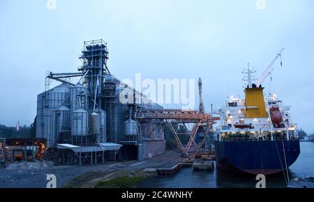 Großer Getreideanleger am Seehafen. Getreide Massenumladung von der Straße zu Schiff. Beladen von Getreidepflanzen auf Schiffen von großen Aufzügen Stockfoto