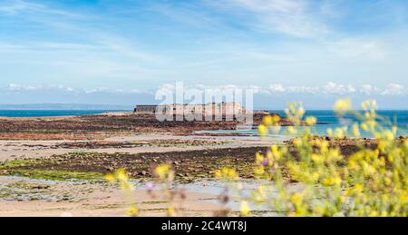 Blick auf Fort Ile de Raz auf Alderney, der drittgrößten der Kanalinseln Stockfoto