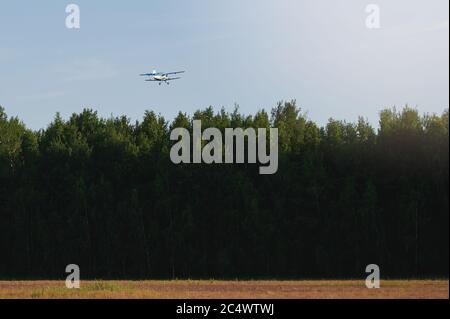 Propellerflugzeug fliegt am Sommertag tief über den Wald Stockfoto