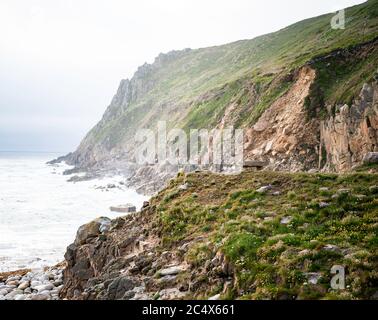 Die zerklüftete Küste von Porth Nanven, Cornwall, Großbritannien Stockfoto