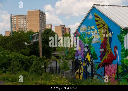 Shirley Chisholm State Park Brooklyn New York City Stockfoto