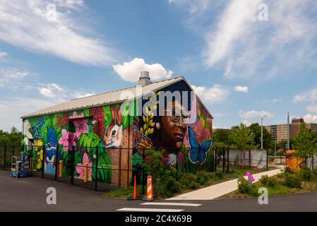 Shirley Chisholm State Park Brooklyn New York City Stockfoto