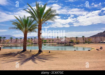 Rastplatz im Timna Park, Negev Wüste, Israel. Kleiner Pool mit Brunnen und Palmen an hellen sonnigen Tag Stockfoto