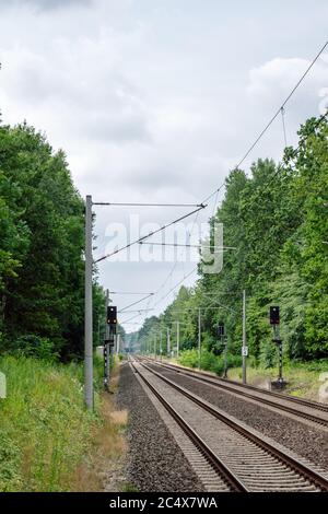 Eine zweigleisige Bahnstrecke mit zwei beleuchteten Ampeln, die durch ein Waldgebiet bei Zeesen, Region Brandenburg, Deutschland, führt. Stockfoto