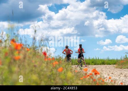 Großmutter und Enkelin unterwegs mit ihren Mountainbikes an einem sonnigen Sommertag zwischen roten Mohnblumen und Kornfeldern unter einem schönen blauen Himmel Stockfoto