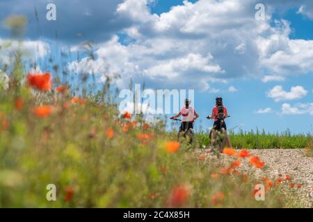 Großmutter und Enkelin unterwegs mit ihren Mountainbikes an einem sonnigen Sommertag zwischen roten Mohnblumen und Kornfeldern unter einem schönen blauen Himmel Stockfoto