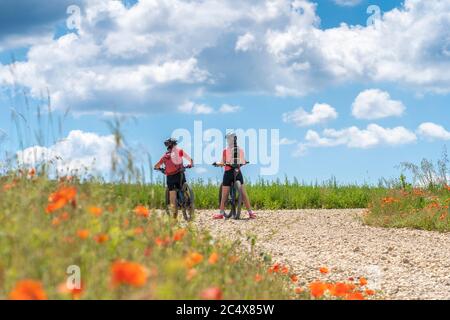 Großmutter und Enkelin unterwegs mit ihren Mountainbikes an einem sonnigen Sommertag zwischen roten Mohnblumen und Kornfeldern unter einem schönen blauen Himmel Stockfoto