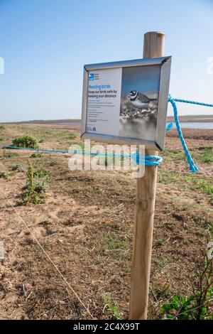 Snettisham Nature Reserve, Blick auf ein RSPB-Schild, das Vorsicht in der Nähe von Nistvögeln fordert, Snettisham Beach, Norfolk, England, Großbritannien Stockfoto