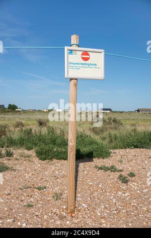 Snettisham Nature Reserve, Blick auf ein RSPB-Schild, das Vorsicht in der Nähe von Nistvögeln fordert, Snettisham Beach, Norfolk, England, Großbritannien Stockfoto