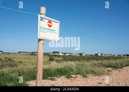 Snettisham Nature Reserve, Blick auf ein RSPB-Schild, das Vorsicht in der Nähe von Nistvögeln fordert, Snettisham Beach, Norfolk, England, Großbritannien Stockfoto