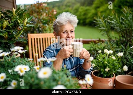 Ältere Frau im Sommer auf dem Balkon, Kaffee trinken. Stockfoto