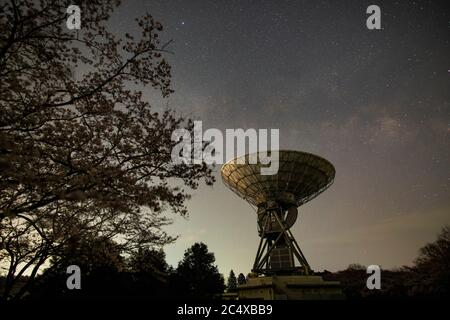 Radioteleskop und die Milchstraße mit Kirschblüten im Vordergrund Stockfoto