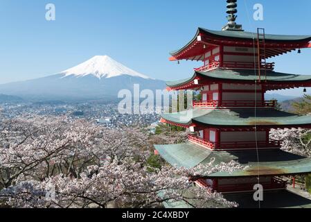 Mt. Fuji über die fünfstöckige Chureito Pagode und Kirschblüten Stockfoto