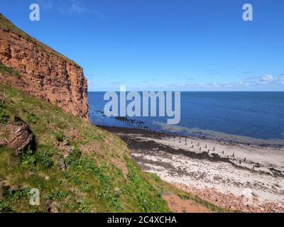 Nordstrand von Klippenrandweg, Insel Helgoland, Kreis Pinneberg, Schleswig-Holstein, Deutschland, Europa Stockfoto